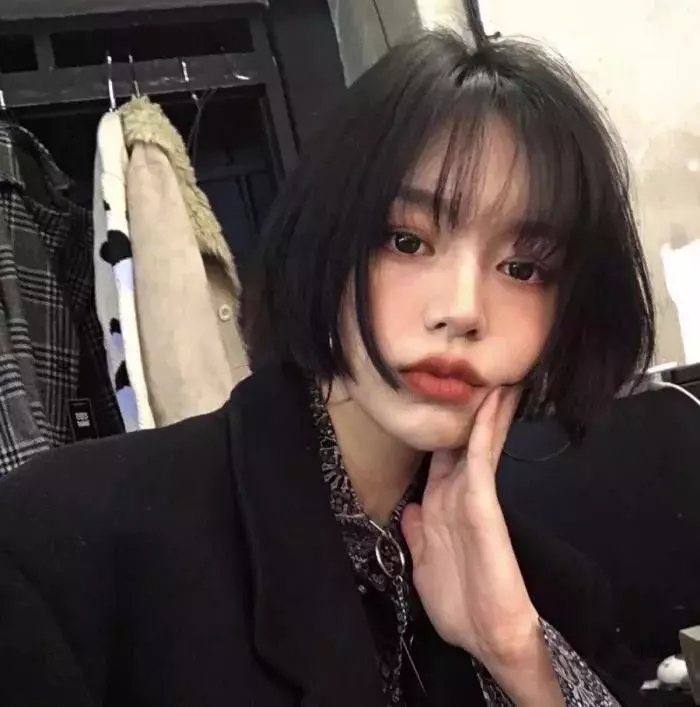 坏狗