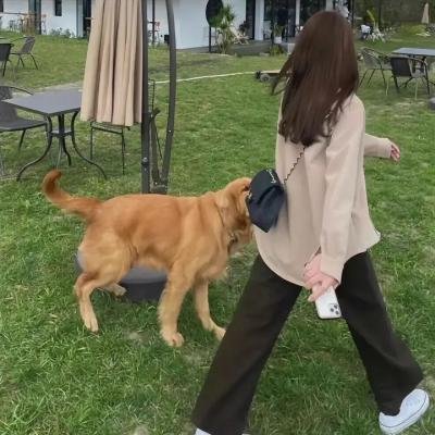 烈燄狂澜